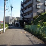 パークハイム鷺沼