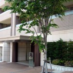 ドレッセあざみ野エスタフレンテ
