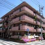 セザール第3武蔵新城