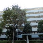 エンゼルパークハイツ綱島壱番館