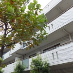 ユーコート大倉山