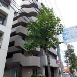 パルミナード大倉山
