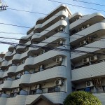 リズ生田