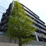 プレステージ淵野辺