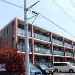 ドエルミョウセイ