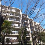 コスモ日吉