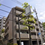 ヒルズ348