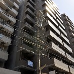 ダイヤモンドタワー鶴見