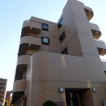 シャロームアイリ