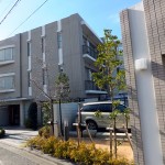 ドレッセたまプラーザマシェリ