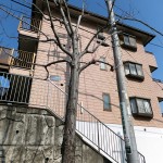 アベニューすみれが丘