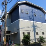 アサンテサーナ