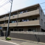 グレイスファイン