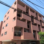 プラム88