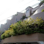 ヒルサイドテラス永田町