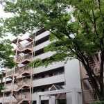 保土ヶ谷パークハイツ3号棟