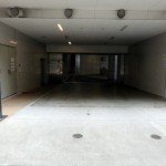 アデニウム小田急相模原