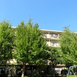 宮前平アベリア4号棟
