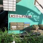 ホワイトレディエンス