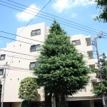 宮崎台ルピナス
