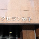エクセラン砂子